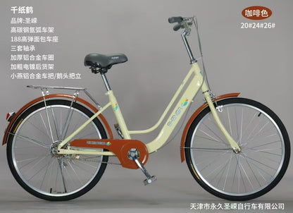 Classic Retro city bike